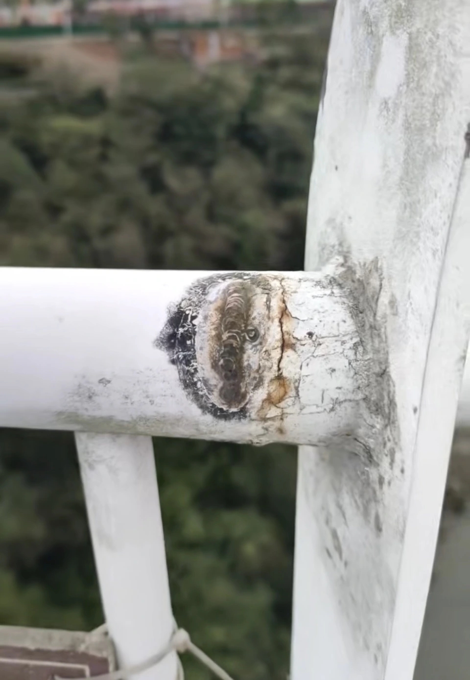 贵州天空悬廊围栏惊现开裂。