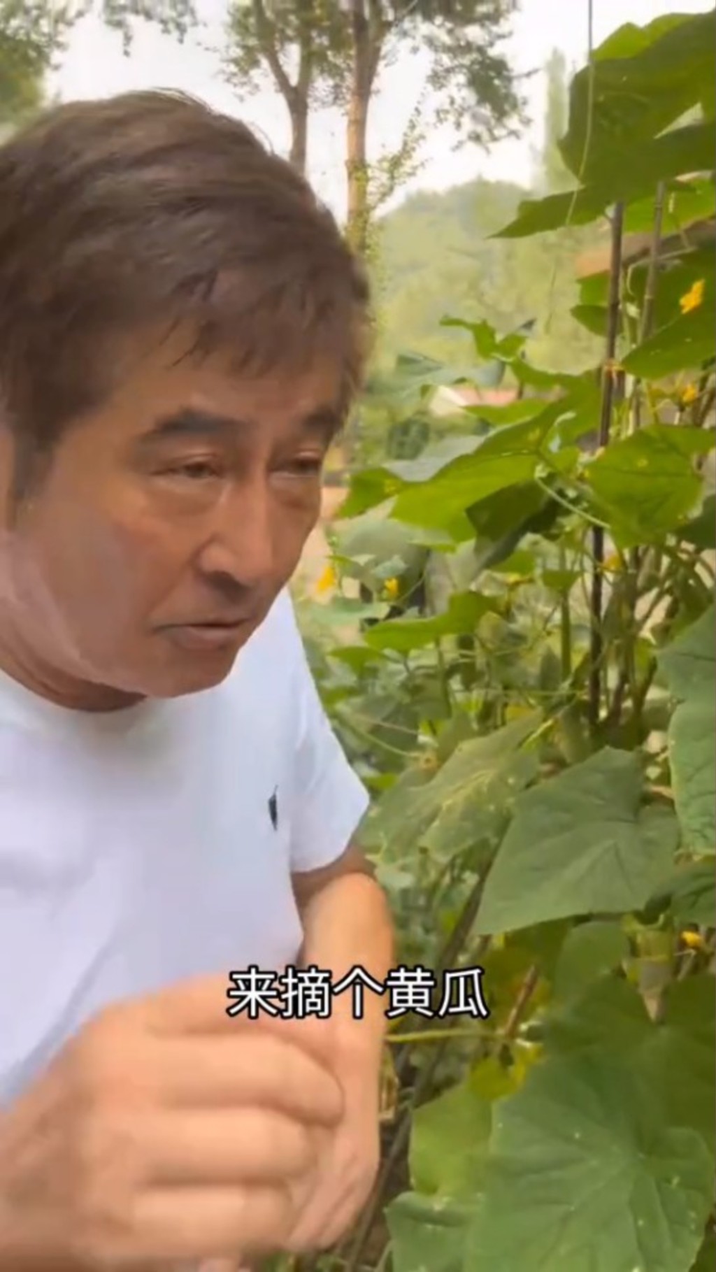 仲有種菜。