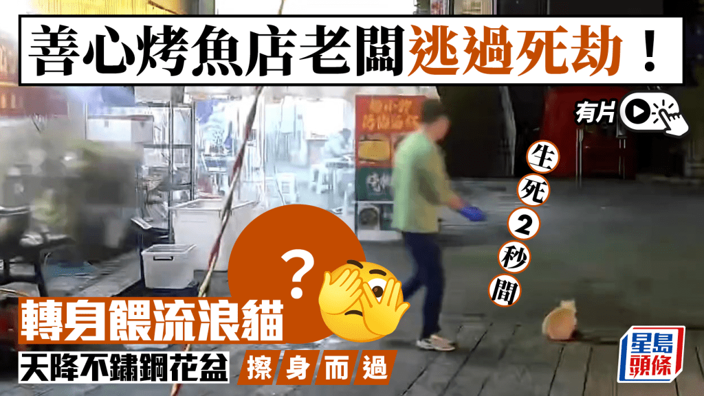 死神退散︱烤魚店老闆好心餵流浪貓  避過天降奪命花盆︱有片