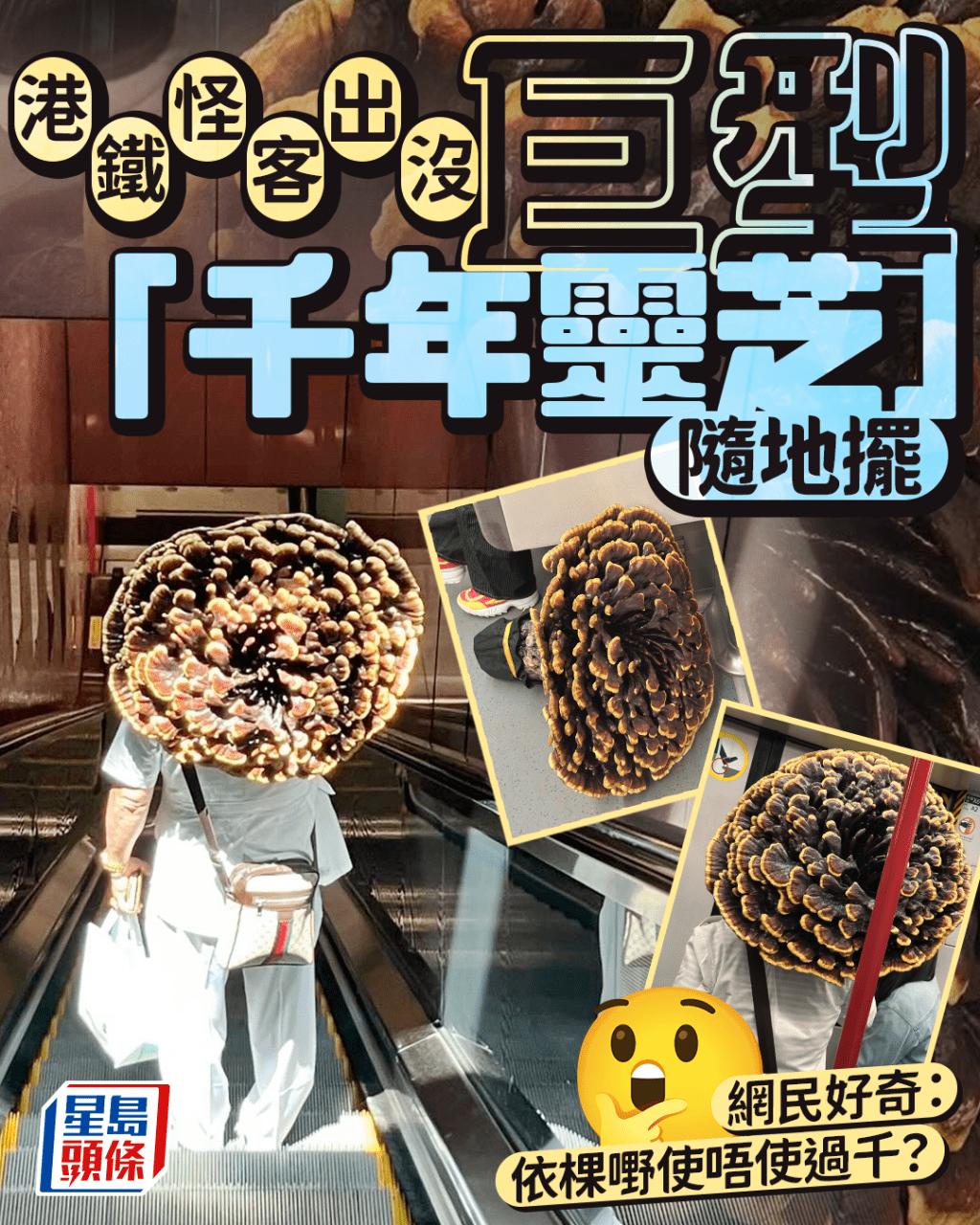 港鐵怪客出沒 巨型「千年靈芝」隨地擺 網民好奇：依棵嘢使唔使過千？｜Juicy叮