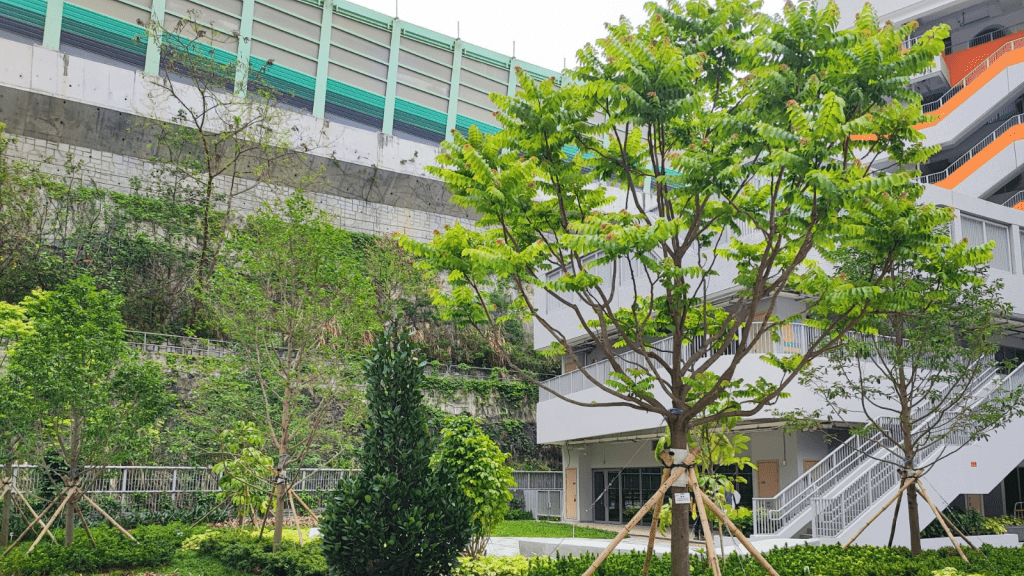 庭園綠意盎然,環保建築設計與自然生態完美融和。 庭園綠意盎然,環保建築設計與自然生態完美融和。