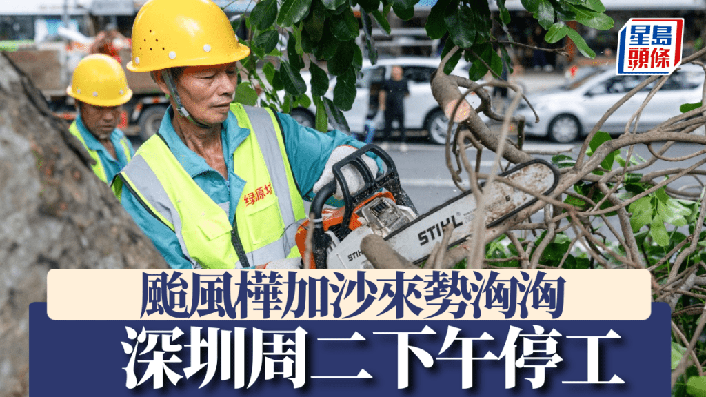 22日，在深圳北環大道，綠化工人修剪樹木、排查安全隱患。新華社