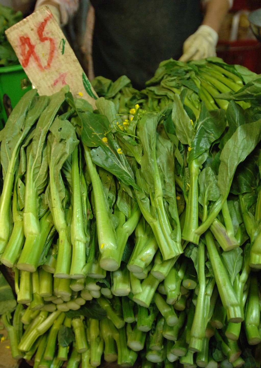 菜心是香港的家常菜。(资料图片) 菜心是香港的家常菜。(资料图片)