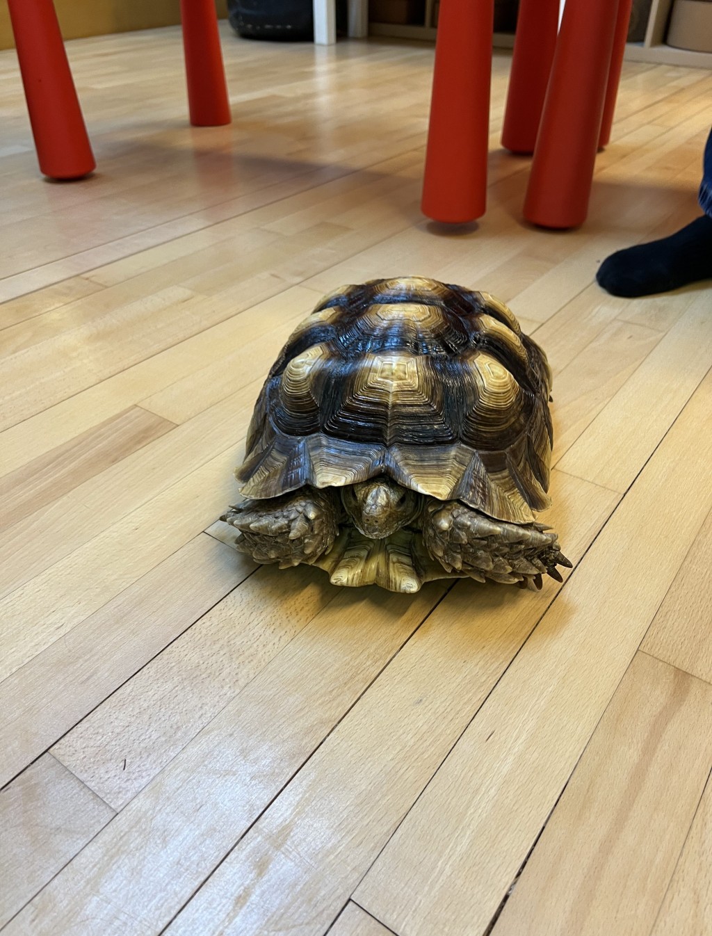 (圖片來源:受訪者提供) (圖片來源:受訪者提供)