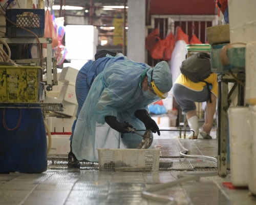 食環署將安排12個公眾街市提早關閉消毒。資料圖片