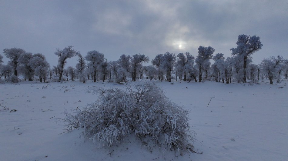 新疆塔克拉瑪干沙漠現「雪海」奇景。（微博）