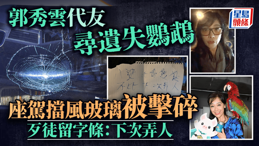 郭秀云元朗代友寻遗失鹦鹉 座驾挡风玻璃被击碎 凶徒留字条：下次弄人
