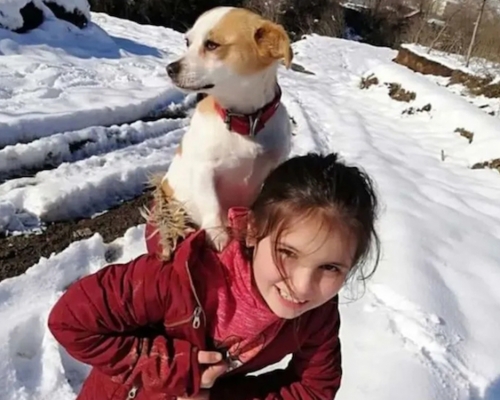 土耳其10歲女孩為救生病狗狗，背牠冒雪徒步3公里找獸醫。（網圖）