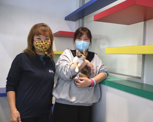 「暫養父母計畫」聯絡專員黃蔡秀文(左)與「暫養母親」Maggie(右)分享暫養動物心得。 林家希攝