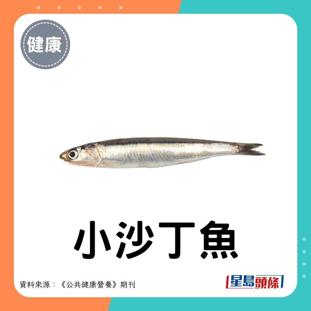 小沙丁魚。