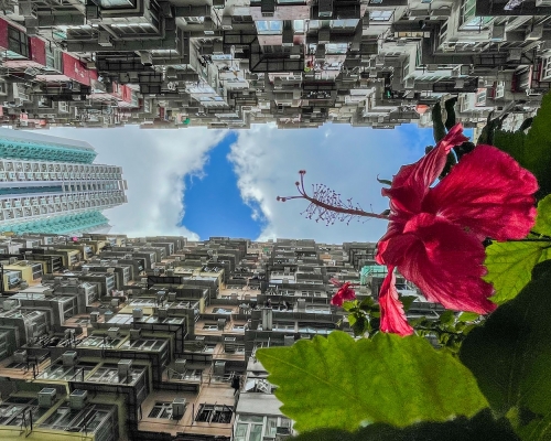 雷日昇攝
