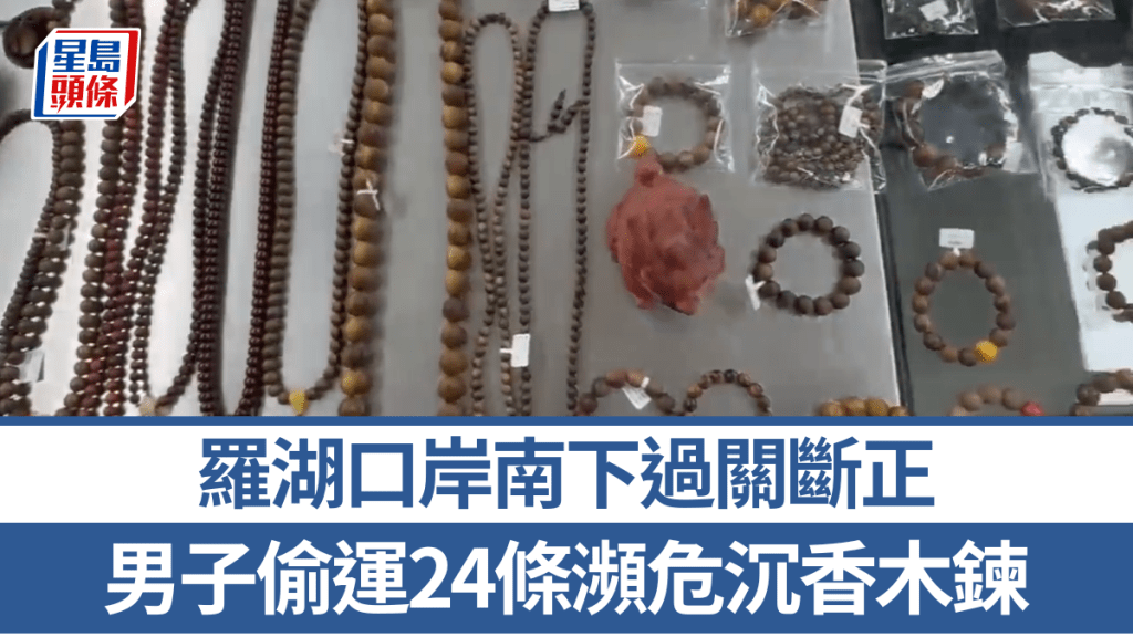 男子偷運24條瀕危沉香木鍊，羅湖口岸南下過關斷正。海關發布