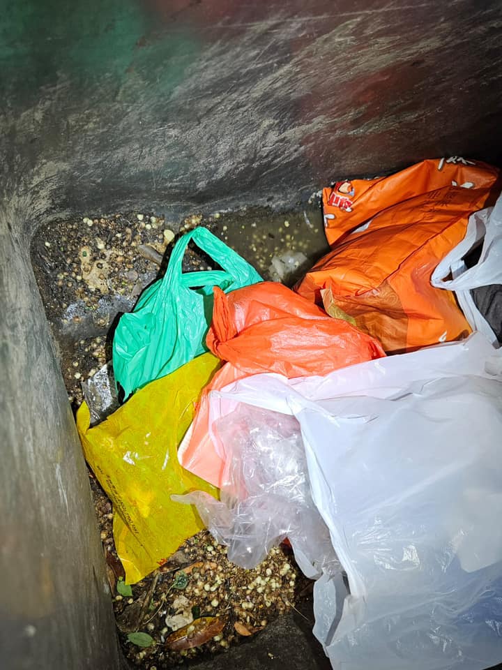 5只初生猫只被弃粉锦公路垃圾桶内。（Facebook专页「毛守救援」图片）