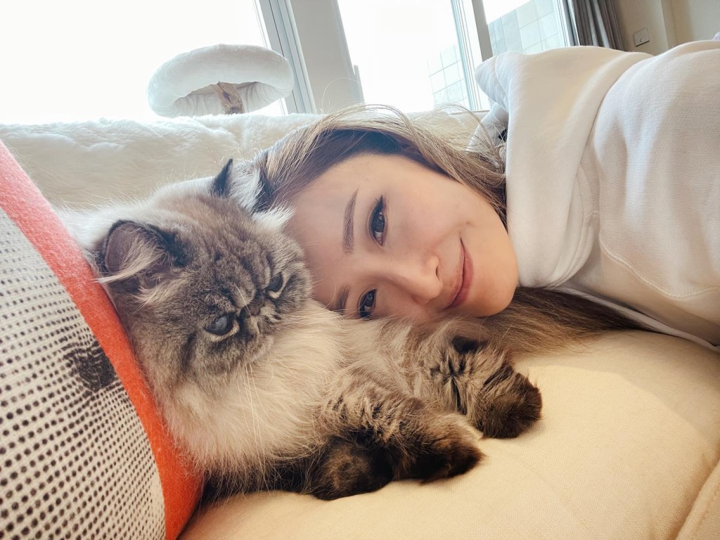 陈贝儿爱猫