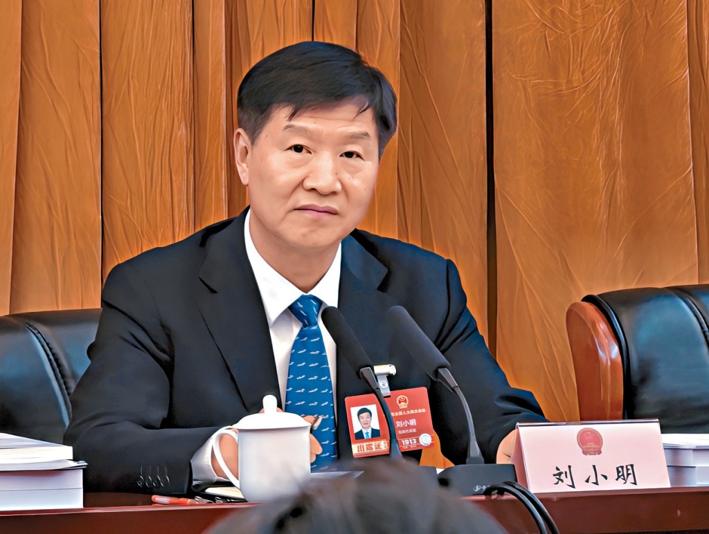 海南省長劉小明懇請發改委支持自貿港外商投資發展。