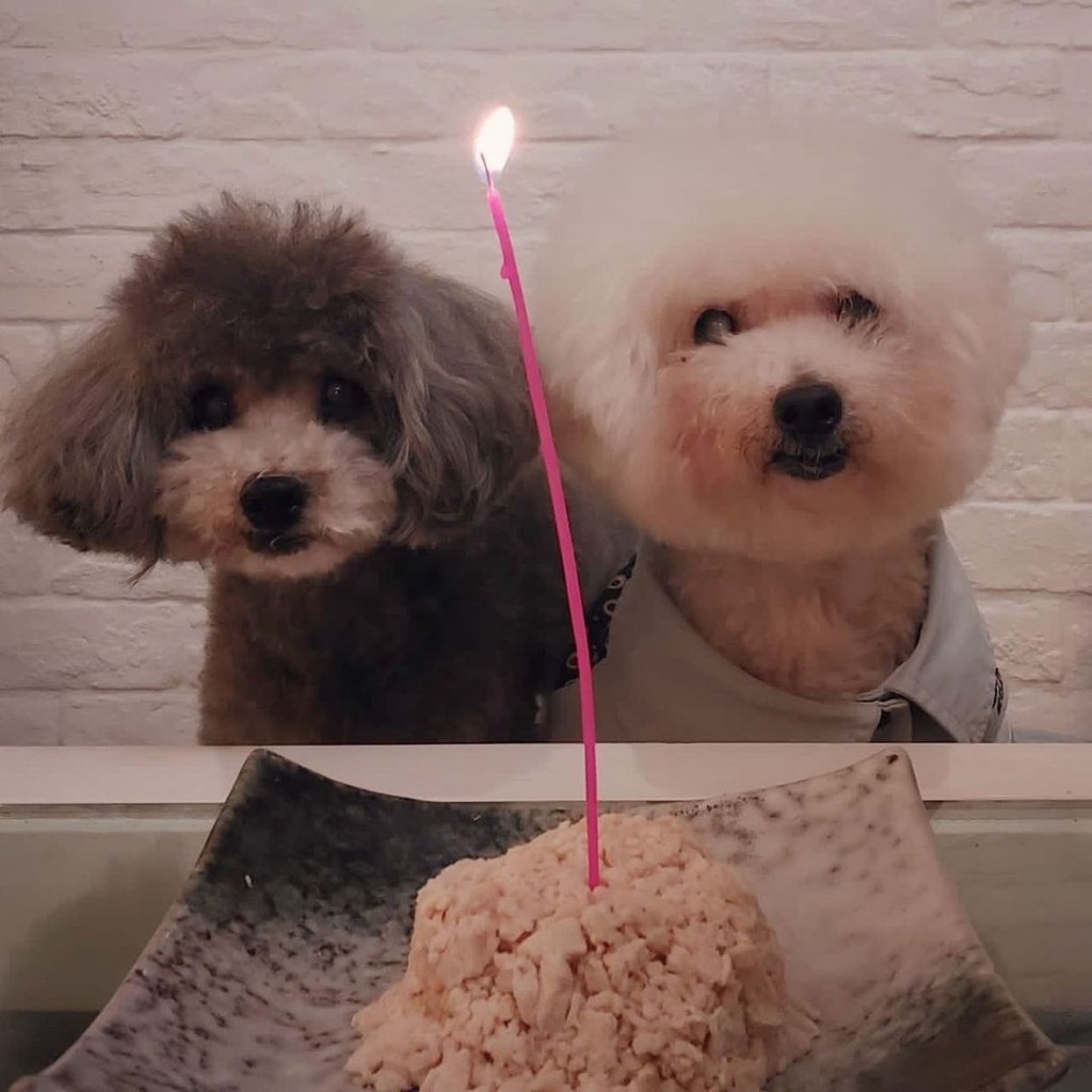 兩個小可愛16歲生日快樂。