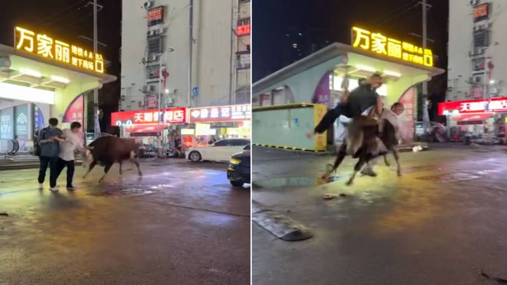 湖南長沙地鐵口有黃牛受驚狂奔，3名途人遭撞到飛起。抖音
