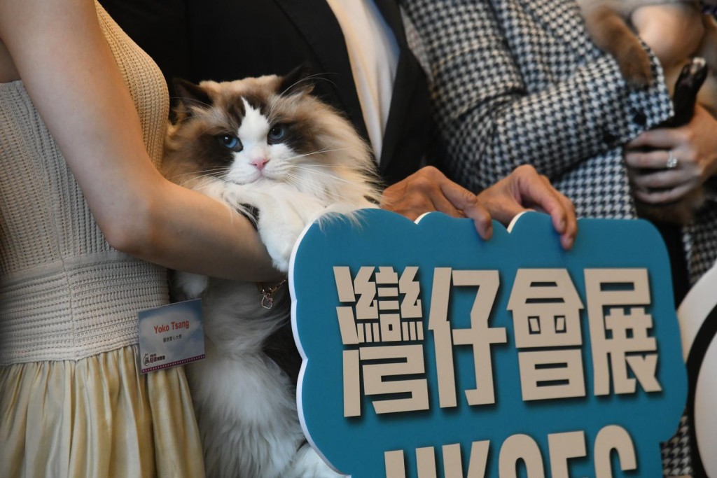 「香港猫迷博览会」2024将于下月2至4日在湾仔会展举行。何健勇摄