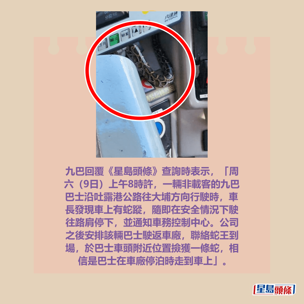 九巴回覆《星島頭條》查詢時表示，「周 六（9日）上午8時許，一輛非載客的九巴 巴士沿吐露港公路往大埔方向行駛時，車 長發現車上有蛇蹤，隨即在安全情況下駛 往路肩停下，並通知車務控制中心。公司 之後安排該輛巴士駛返車廠，聯絡蛇王到 場，於巴士車頭附近位置撿獲一條蛇，相 信是巴士在車廠停泊時走到車上」。Threads截圖