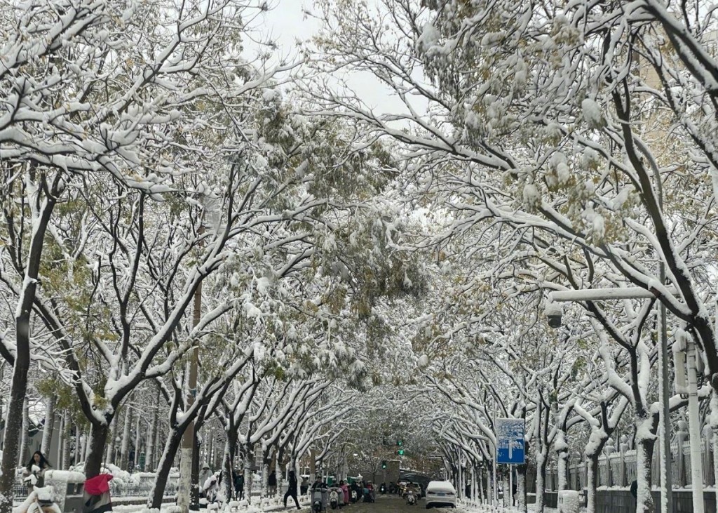 內地北方多地受寒流影響，昨晚迎來今冬初雪。人民日報