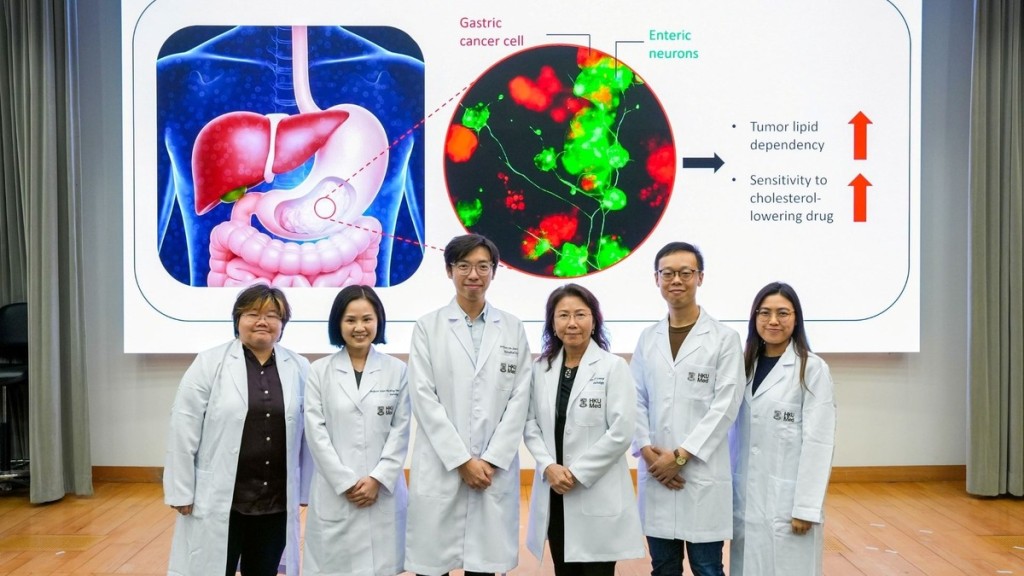 港大醫學院破解胃癌弱點 腫瘤生長減慢逾6成 靠膽固醇抑制劑殺癌效率飆6.3倍 