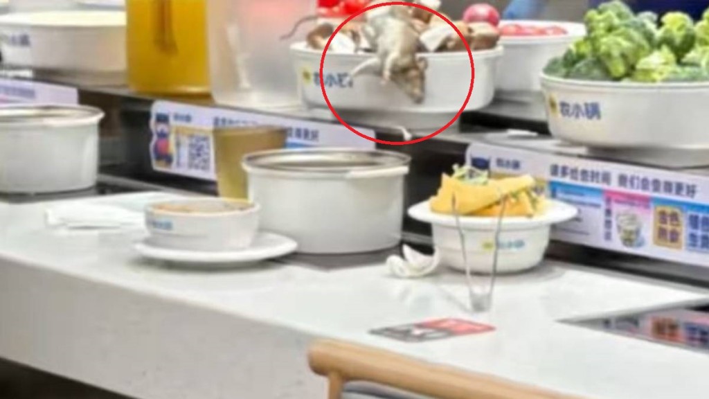 上海自助火锅店天降老鼠跌入菜盘。正在新闻