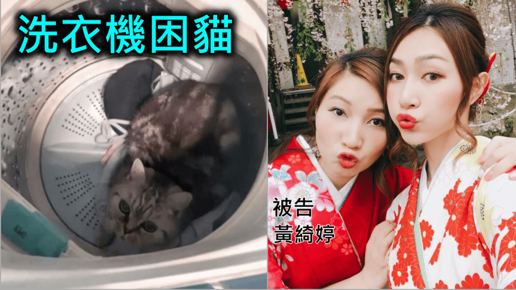 被告黃綺婷被裁定虐畜罪成。 網圖