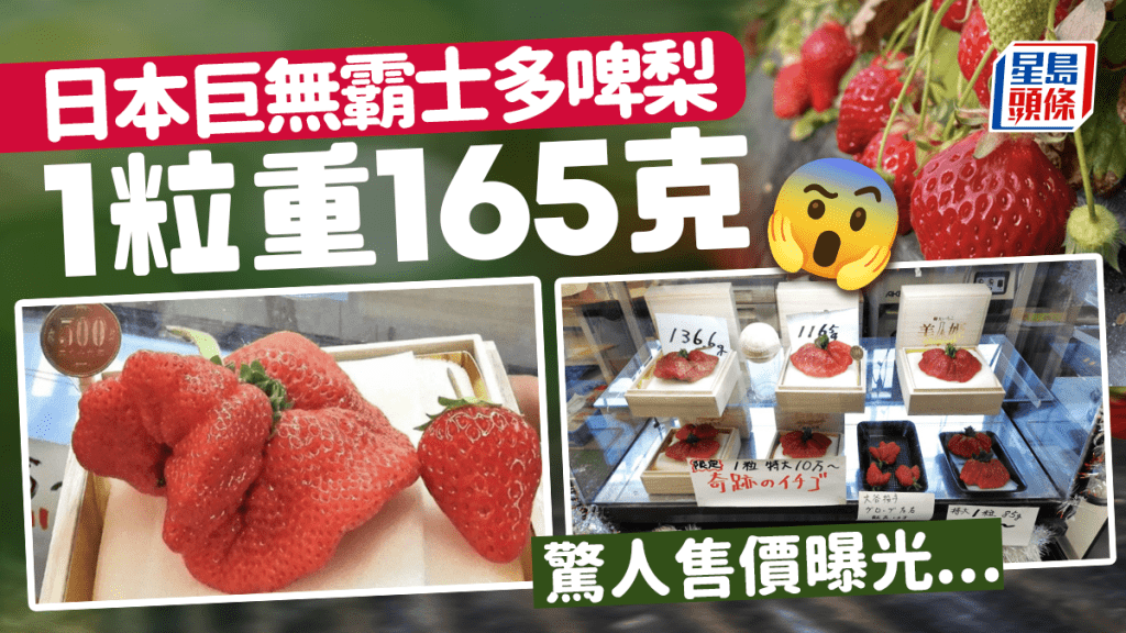 一顆草莓貴過一部電視機！日本收成重165克 被喻為士多啤梨巨無霸