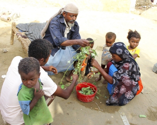 切断荷台达港供输路线会造成食物与燃料价格飙升，令身陷饥荒儿童总人数上升100万，至520万人。AP资料图片