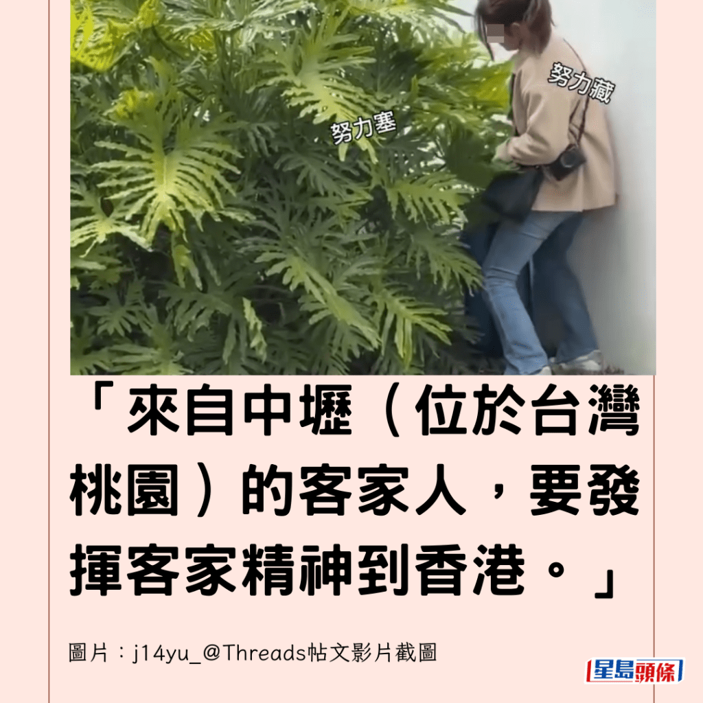  「來自中壢（位於台灣桃園）的客家人，要發揮客家精神到香港。」