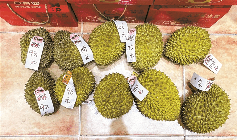 福田区某水果店内，不同价格的榴槤摆放在地上，供顾客选购。 深圳晚报