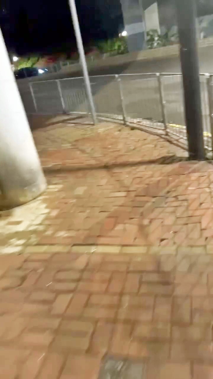 Threads截圖（資料來源：togit.leather＠Threads）