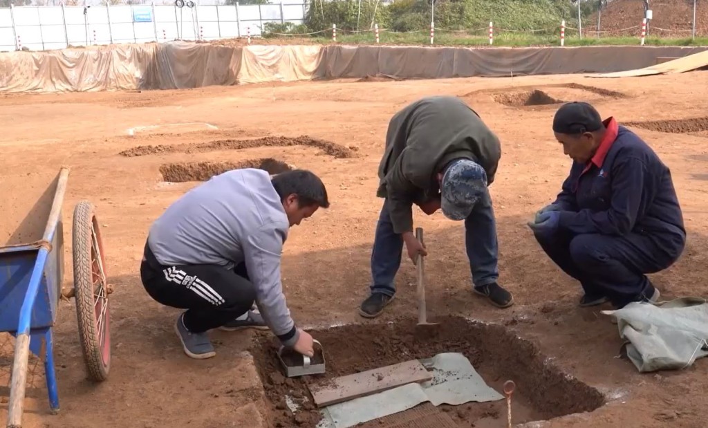 考古人員找到用作陪葬的珍稀動物骸骨。（陝西廣播電視台）