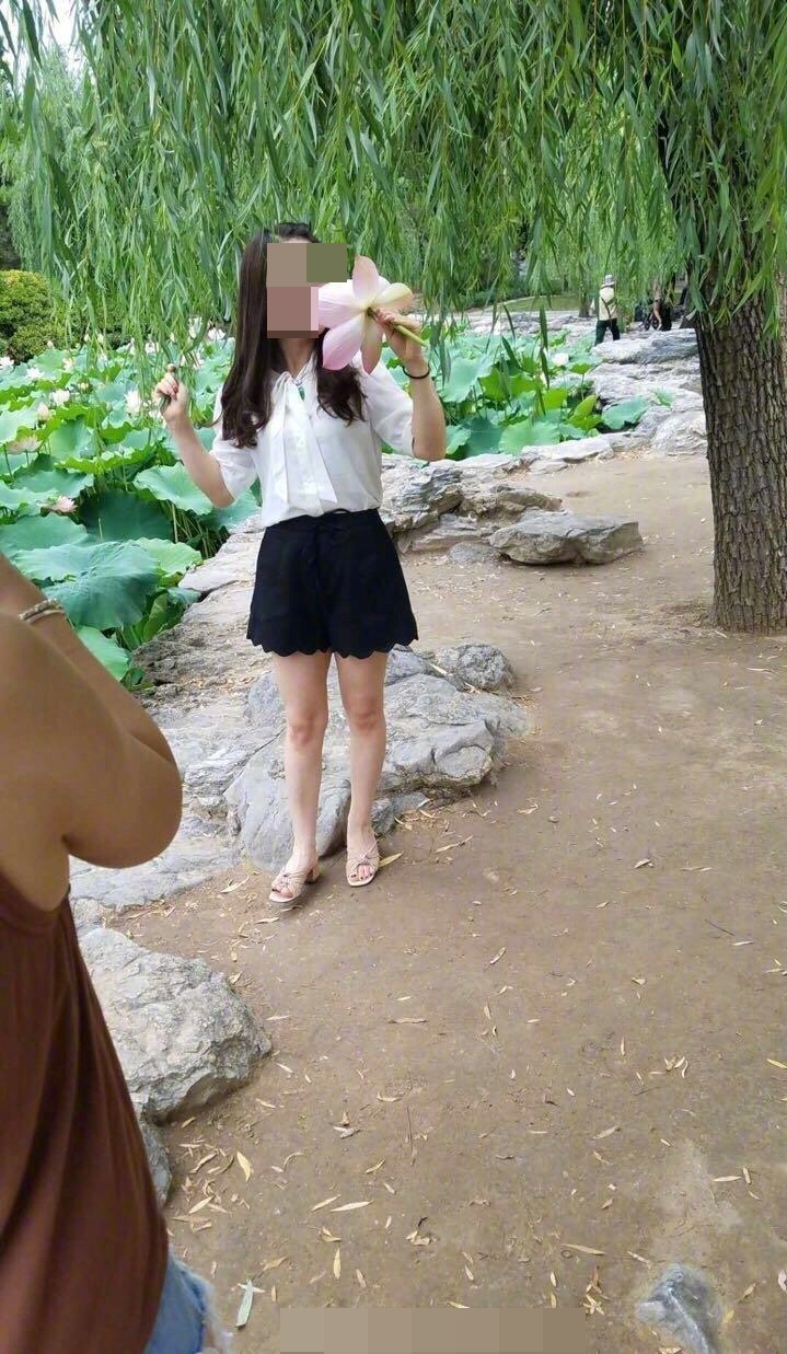 有內地網友爆料，部分遊客將荷花摘下拍照。網圖