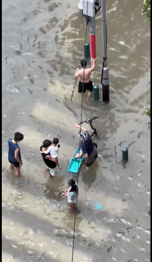 有市民帶備帆布袋、魚網等撈魚工具，亦有市民帶備單車及保溫箱前來運送。FB圖片