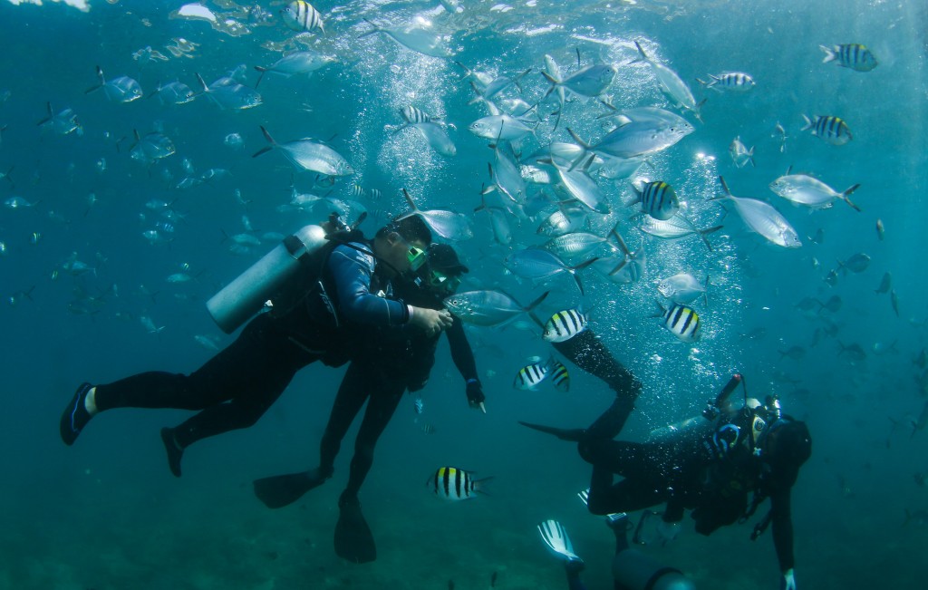 三亚是世界接待量最大潜水基地之一。 新华社