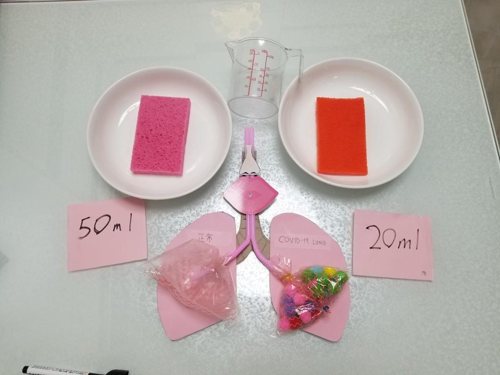 Yanny指家長可參考網上資料製作肺部模型。