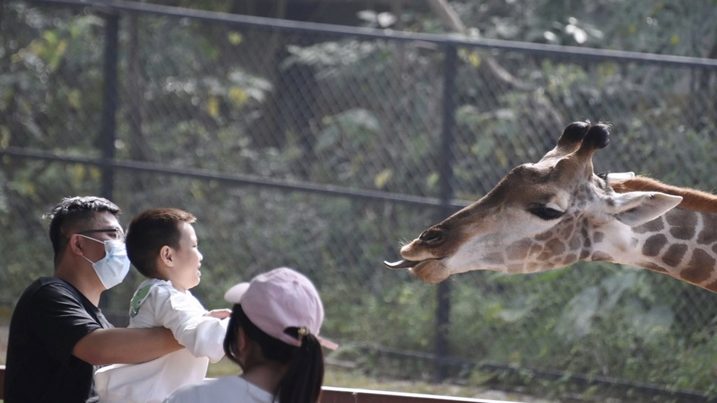 深圳景区元旦接待量排名前十：野生动物园