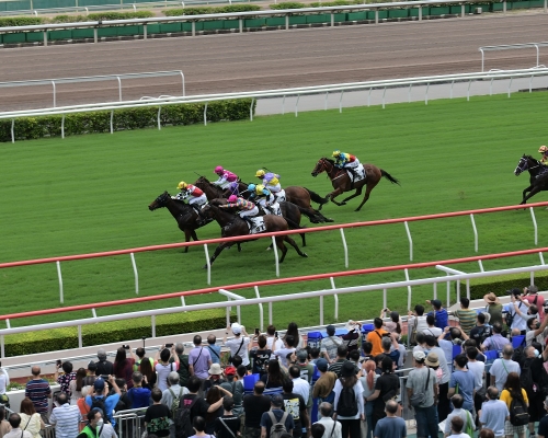 國慶賽馬日投注紀錄達16.3億元。資料圖片