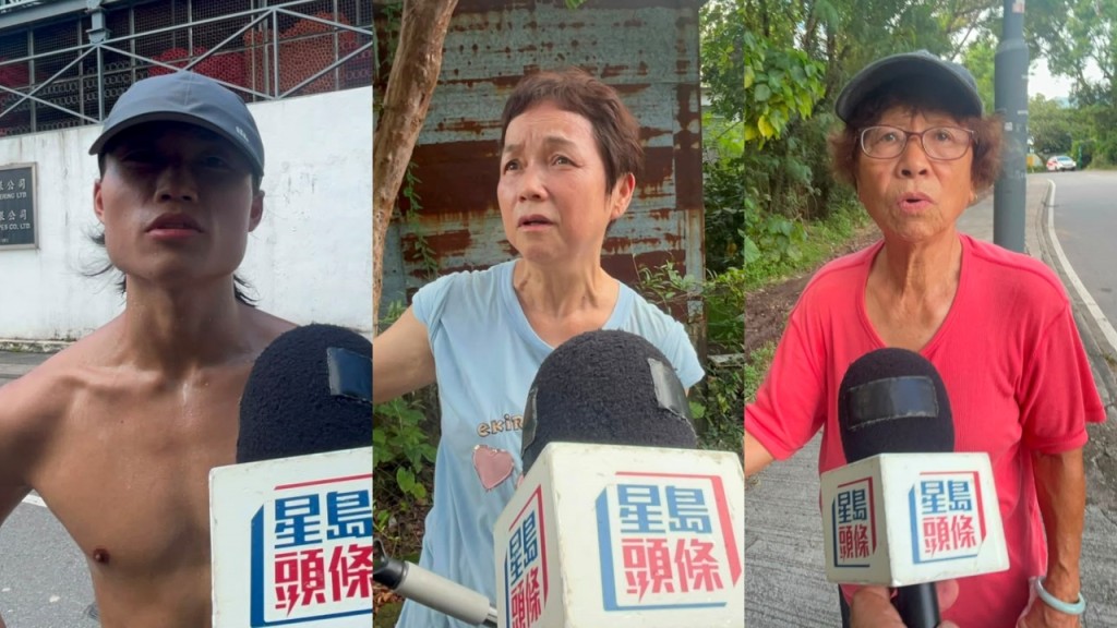打鼓嶺狗咬死人｜村民驚魂未定 坦言不時見狗隻無人牽引遊走 促加強規管