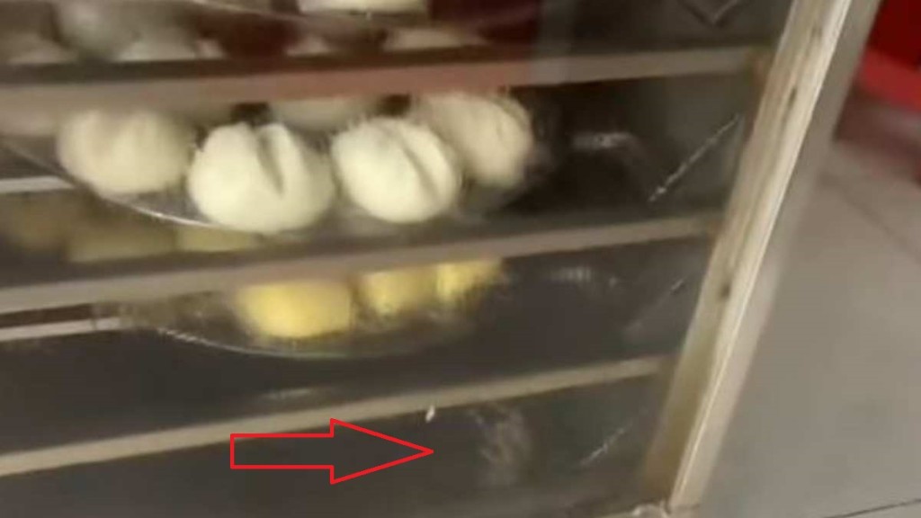 海南有小食店的蒸櫃內有死老鼠。