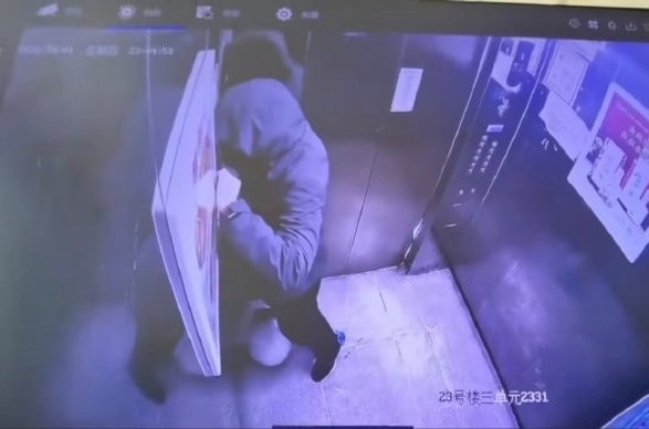 河南冷血母子升降机接力狂踩流浪猫致死，闭路电视揭恶行。