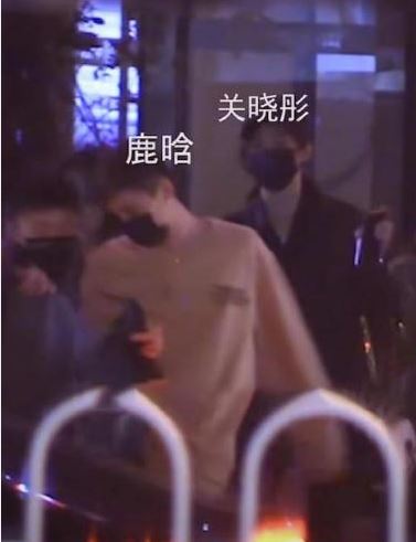 被目睹經常孖公仔出入,故亦傳兩人已同居。