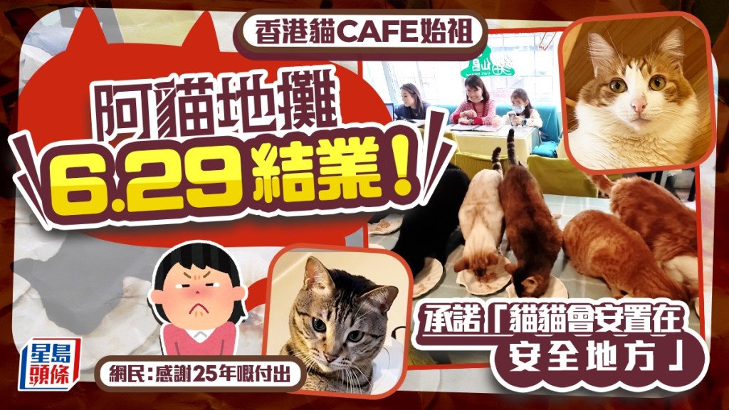 香港貓cafe始祖阿貓地攤6.29結業！店主承諾：貓貓會安置在安全地方 網民不捨「感謝25年嘅付出」