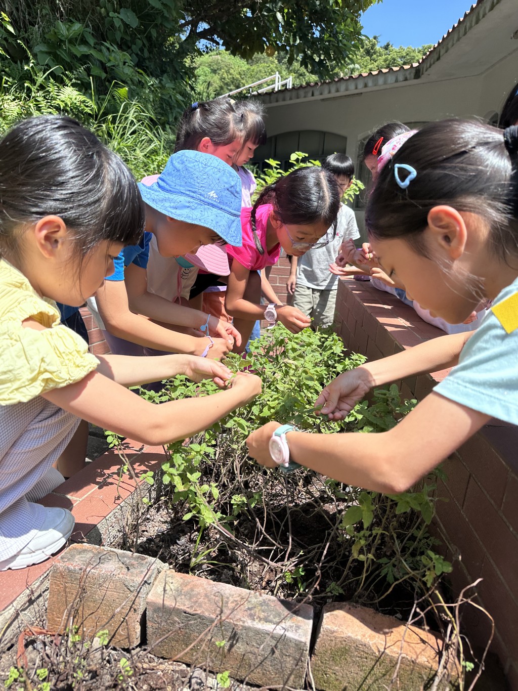（圖片來源：官方圖片）
