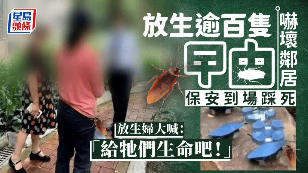 女子放生逾百隻蟑螂。