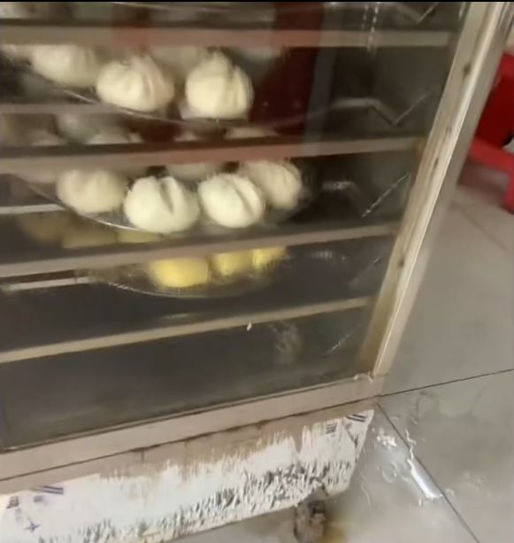 海南有小食店的蒸櫃內有死老鼠。