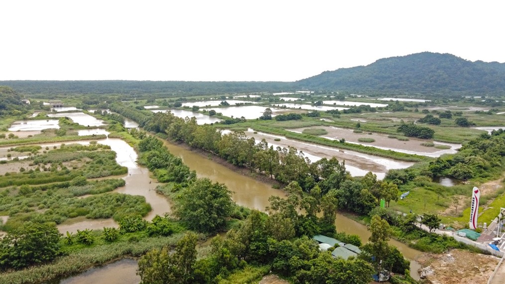 珠海淇澳岛红树林