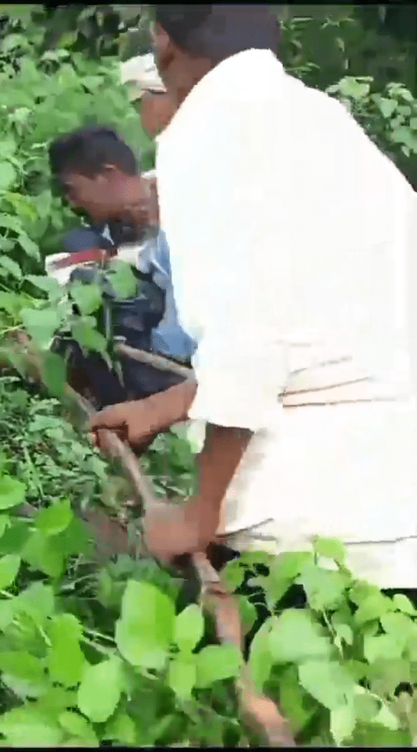 有村民用木棍試圖移走蟒蛇。（X@Prohit__ji）