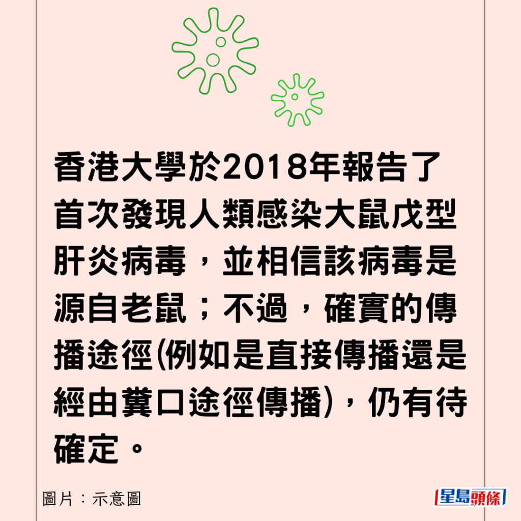 香港大學於2018年報告了首次發現人類感染大鼠戊型肝炎病毒，並相信該病毒是源自老鼠；不過，確實的傳播途徑(例如是直接傳播還是經由糞口途徑傳播)，仍有待確定。